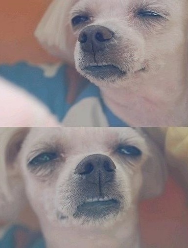 게임박스 이미지