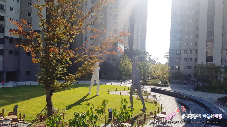 연세엘리베이터(주) 이미지