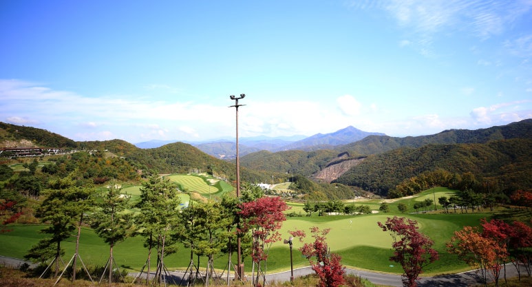 소노조명 이미지