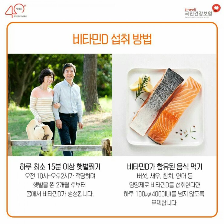 비타민에듀 이미지
