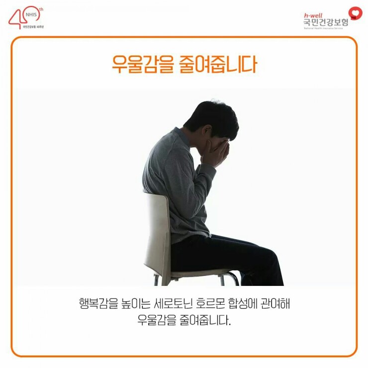 비타민에듀 이미지