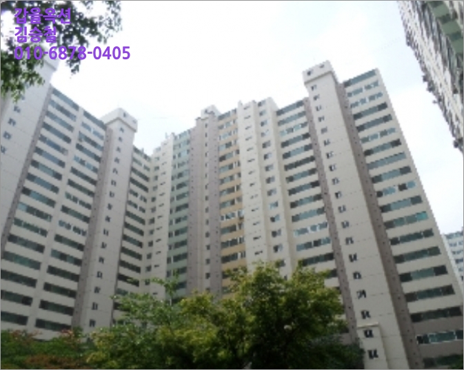 다샘교육 이미지