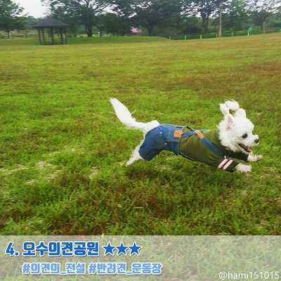 임실치즈벨리 이미지
