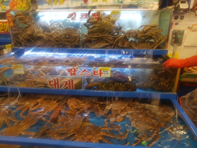 또순이회양념 이미지