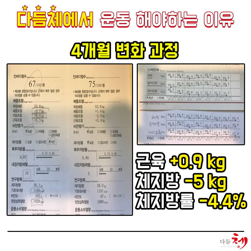 다듬체 이미지