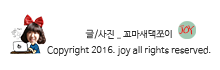 미스터피자 부여점 이미지