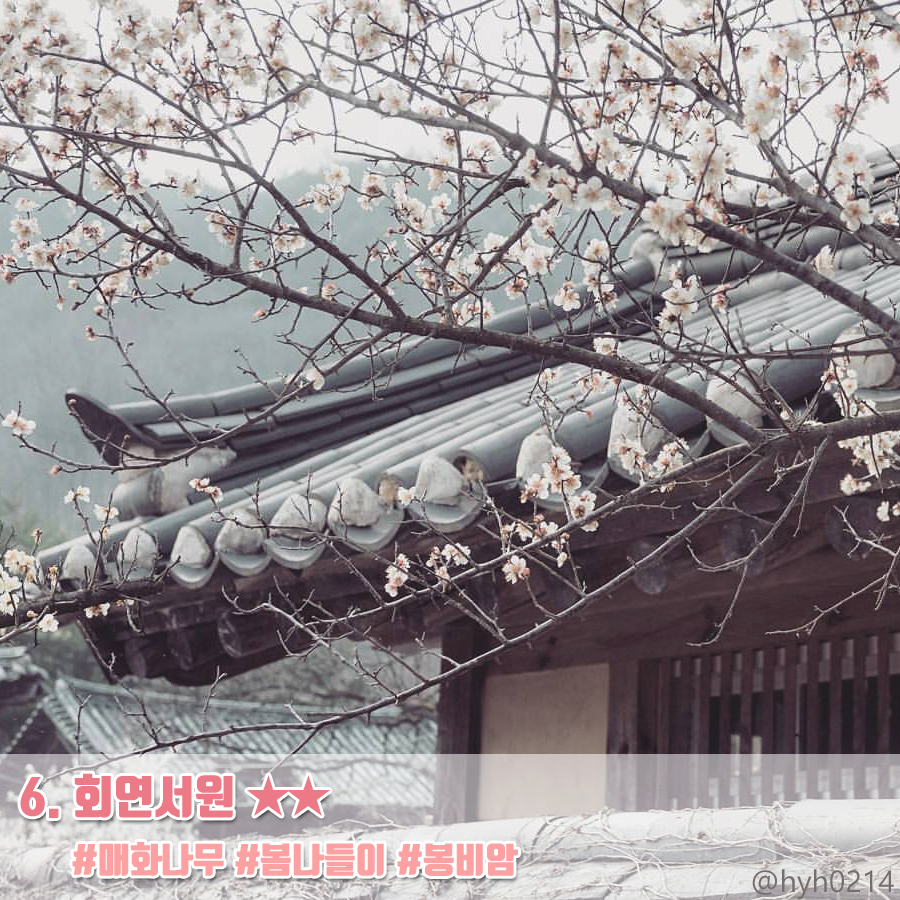성주매점 이미지