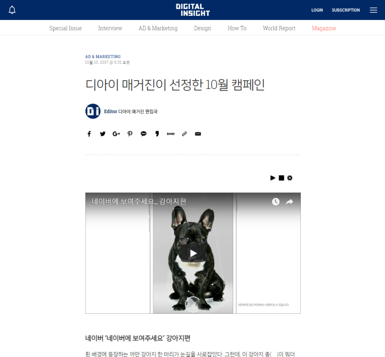 디아이솔루션 이미지
