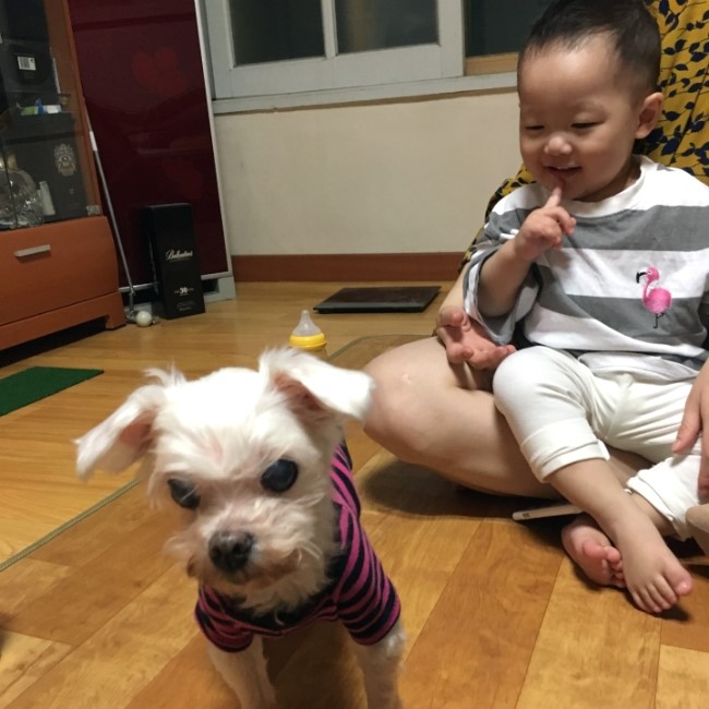 병풍산자락느티나무아래서 이미지