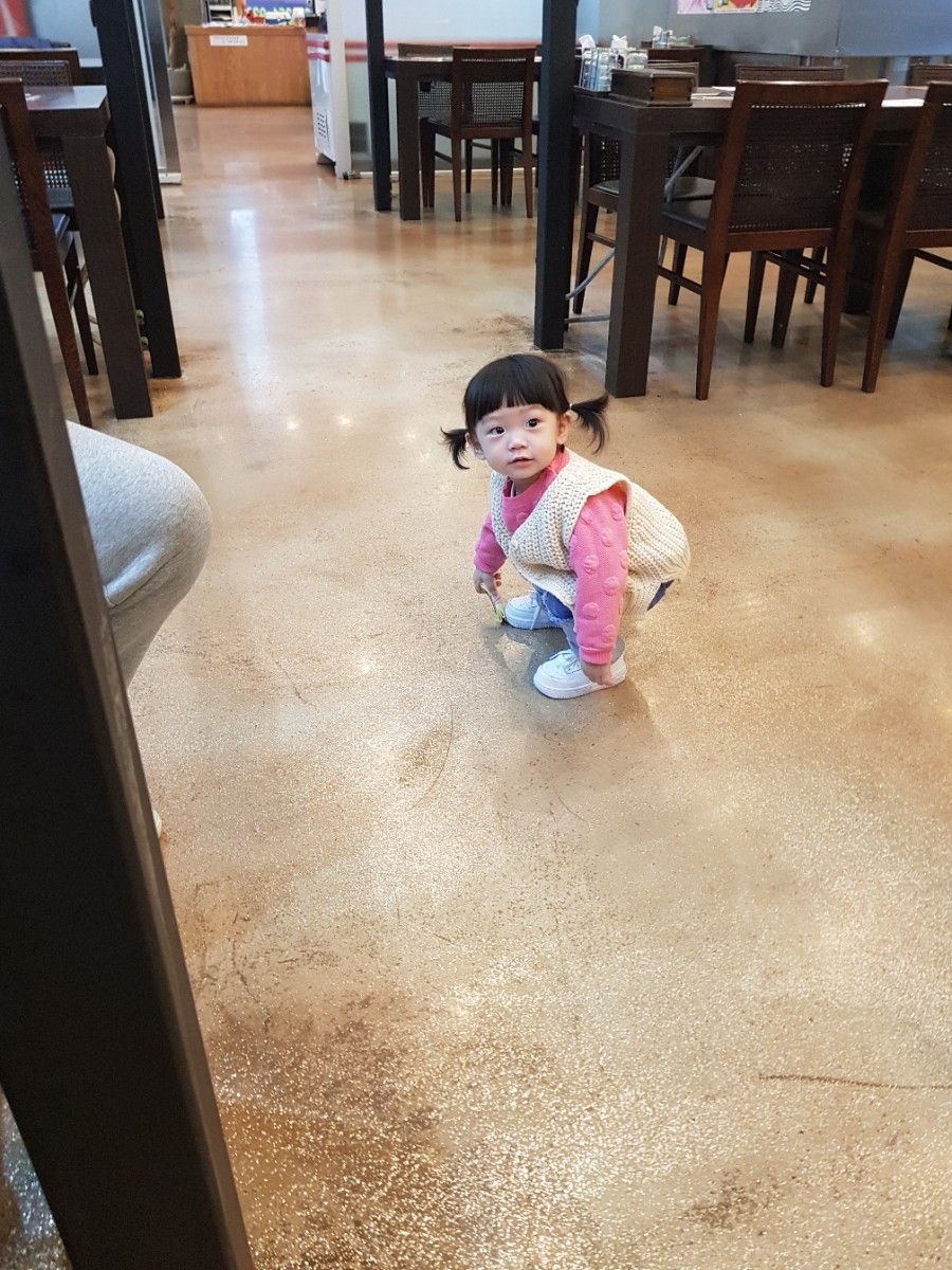 한우향가 이미지