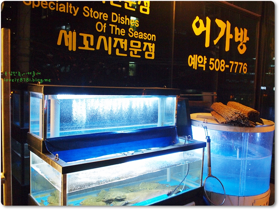 어가방 이미지