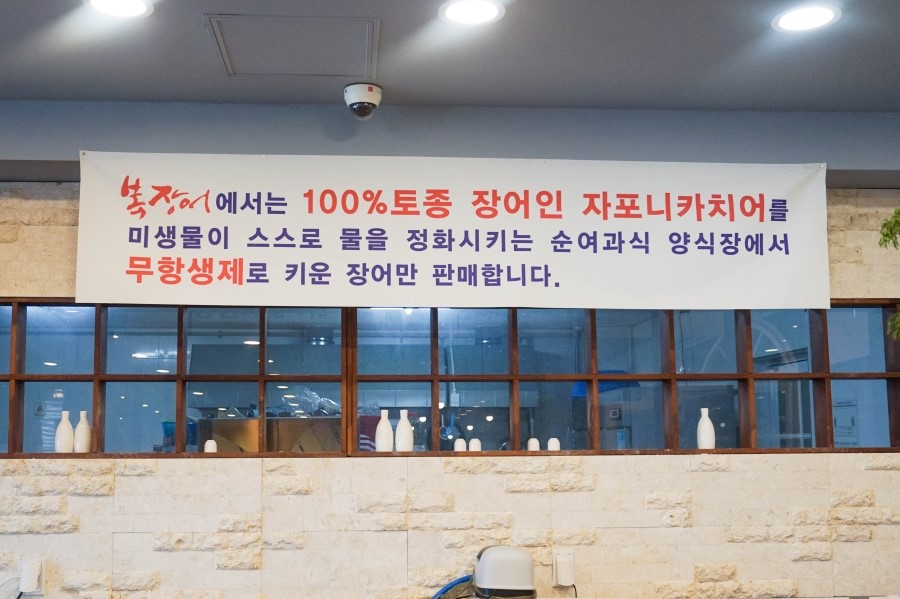 풍천복장어 이미지