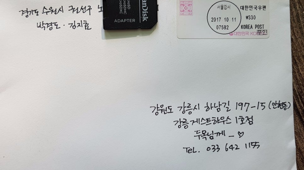 경포25호 이미지