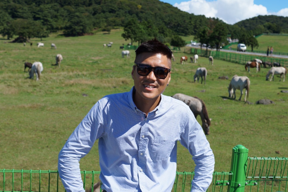 패밀리관광여행사 이미지