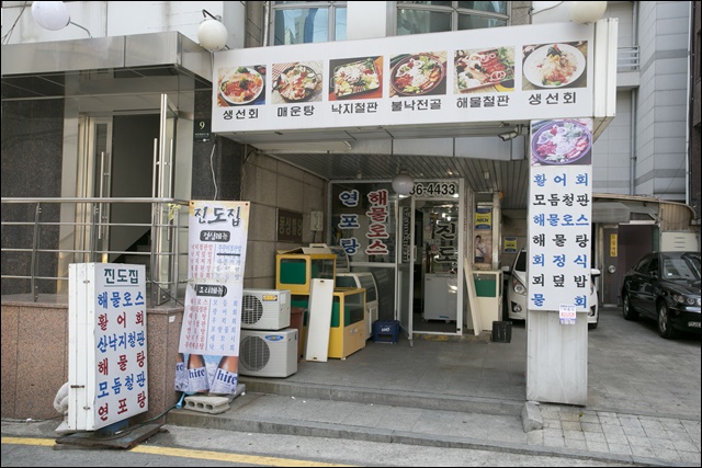 진도집 이미지