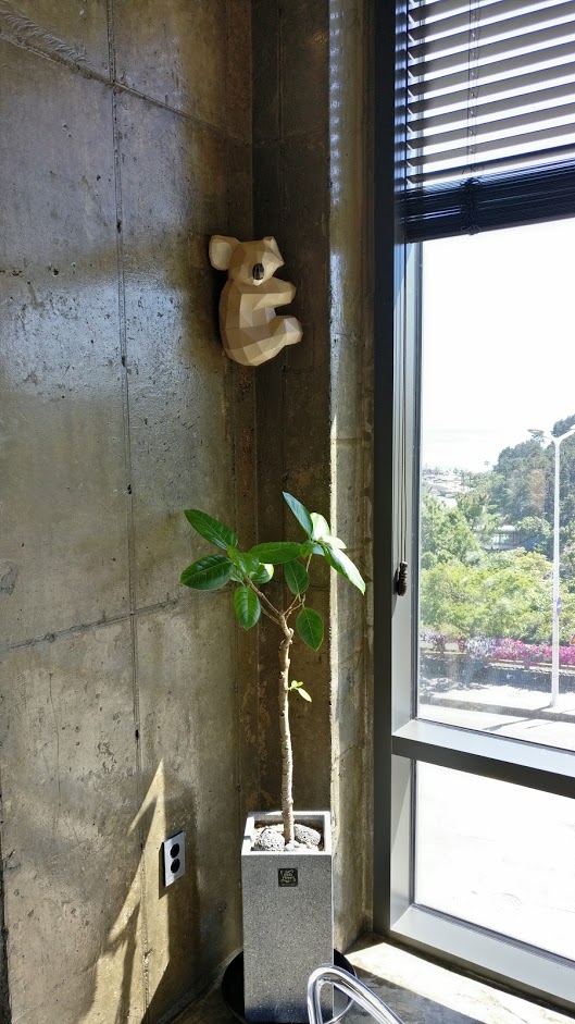 오버더윈도우 이미지