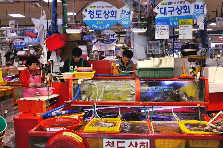 자갈치꼼장어장어구이 이미지
