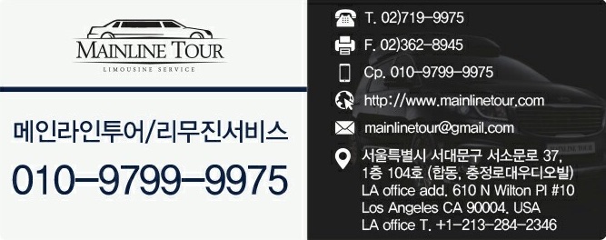 더메인 이미지