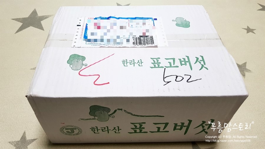 제주영실 표고버섯 이미지