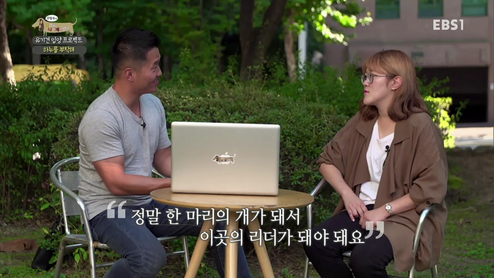 카폐하누 이미지