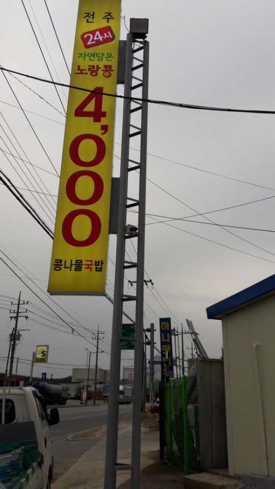 노랑콩 이미지