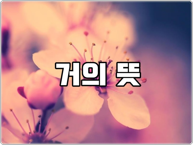 거이 거의 뜻 차이 예시 알아보죠! : 네이버 블로그