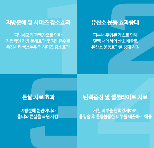 디올테라피 이미지