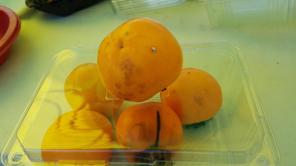 (주)월하랑 이미지