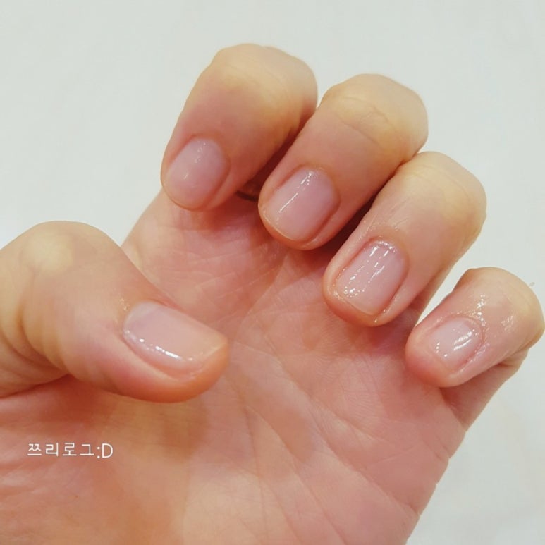 네일홉 이미지