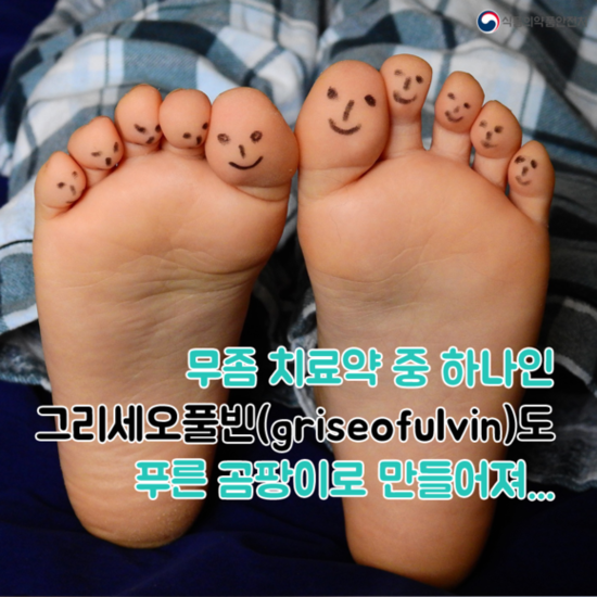 푸른곰팡이 이미지