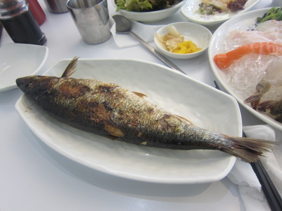 구룡포 막회 이미지