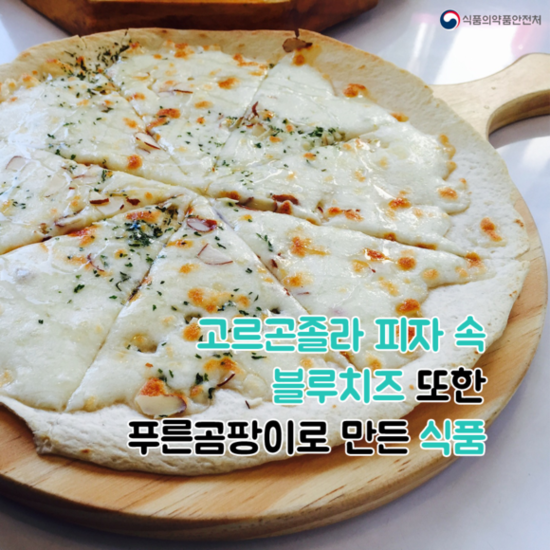 푸른곰팡이 이미지