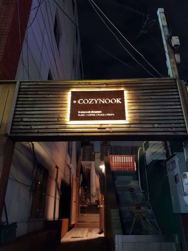 코지누크 이미지