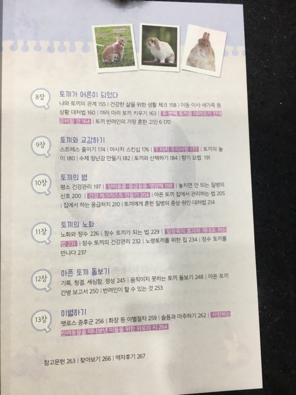 토끼공장 이미지
