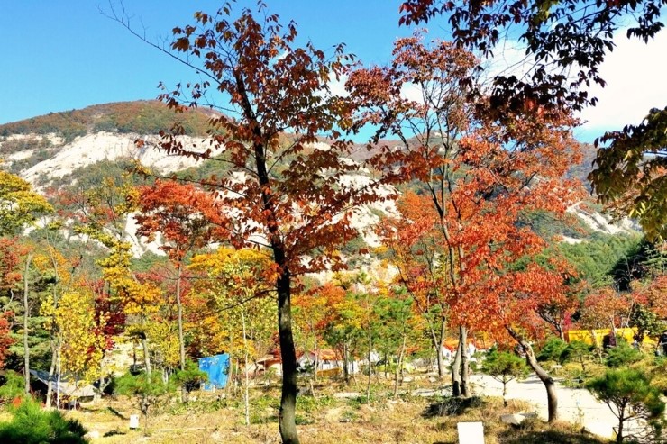 포시즌하우스 이미지