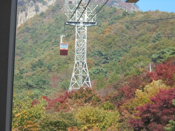 굿모닝 여행사 이미지