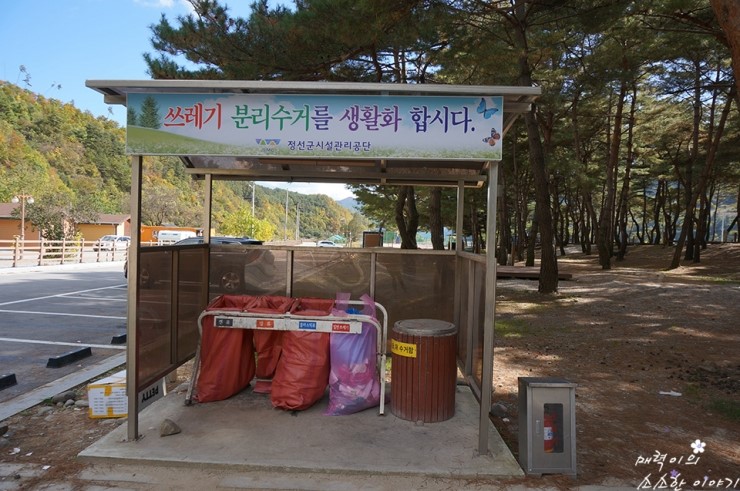 회동솔향캠핑장 이미지