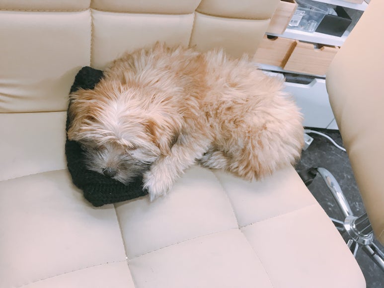샵더이쁨 이미지