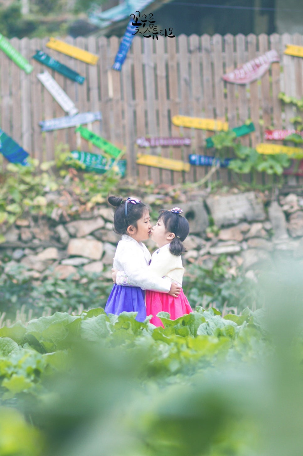 꽃사랑꽃구름 이미지