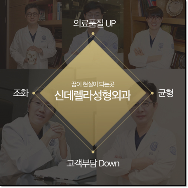 신데렐라성형외과의원 이미지