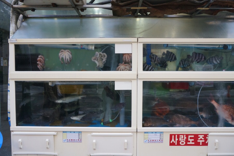 사랑도횟집 이미지