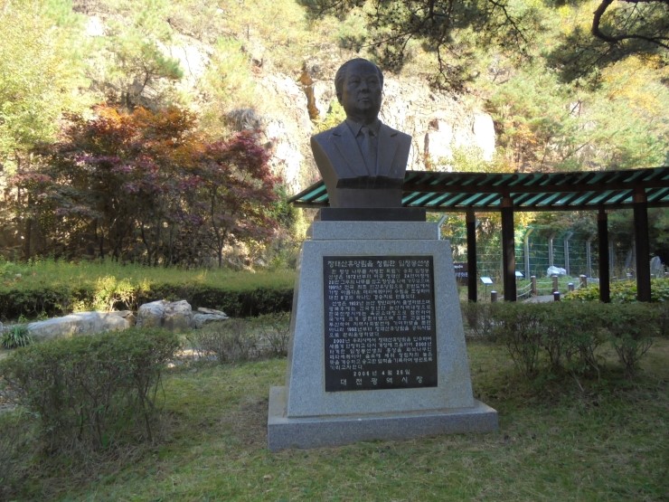 굿모닝 여행사 이미지