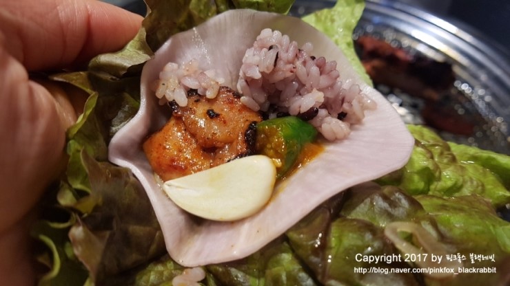 블랙레빗 이미지