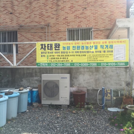 콩마실 이미지
