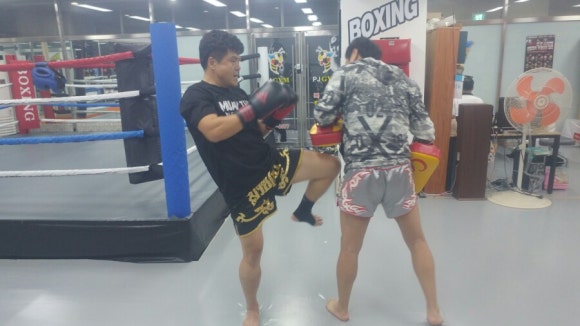 피제이미트 이미지