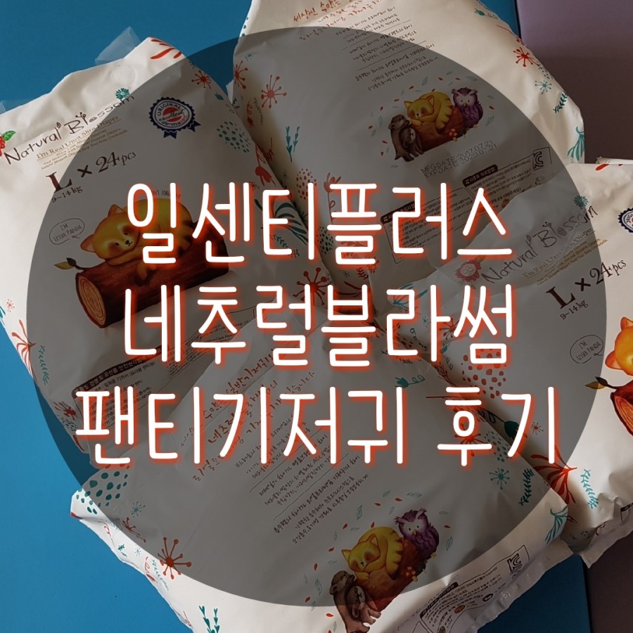 센티블라썸 이미지