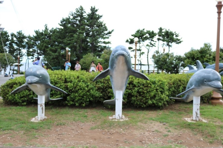 가족사랑펜션 이미지