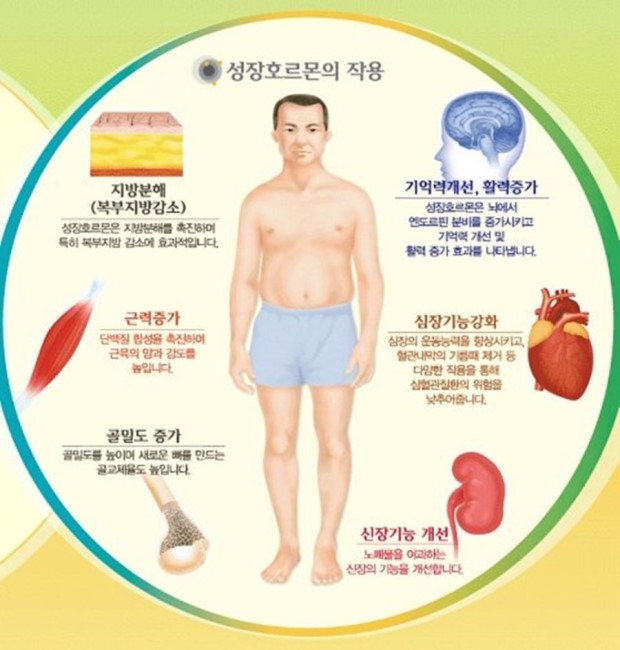 구미퍼스널트레이닝웰라인휘트니스 이미지