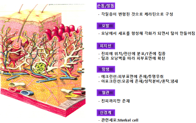 패밀리해피메이드 이미지