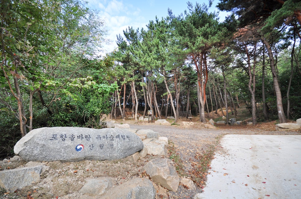 솔바람 유아숲체험원 이미지